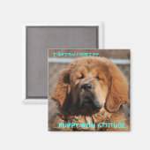 Tibetaanse mastiff houding magneet (Voorkant / Achterkant)