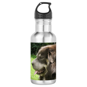 tibetaanse mastiff.png waterfles