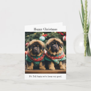 Tibetaanse Mastiff Puppies Kerstmis Kaart