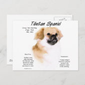 Tibetaanse Spaniël Geschiedenis Ontwerp Briefkaart (Voorkant / Achterkant)