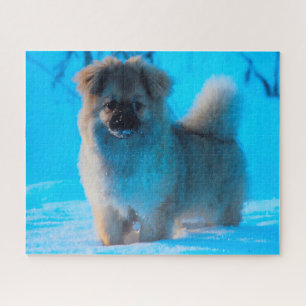 Tibetaanse Spaniel Honden Puzzels