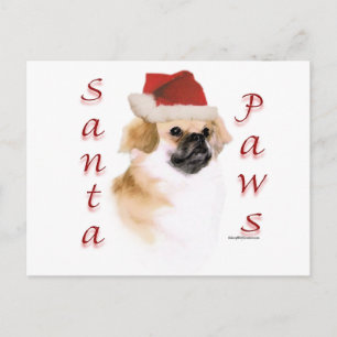 Tibetaanse spaniël Santa Paws Feestdagenkaart