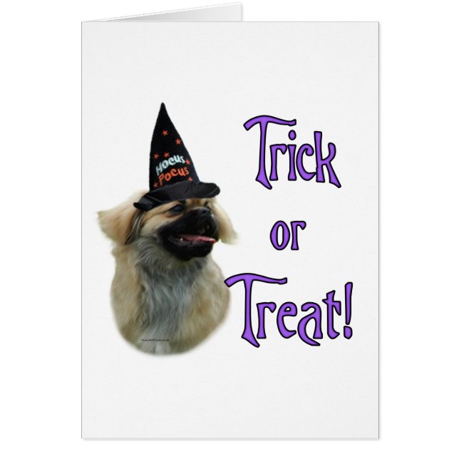 Tibetaanse spaniël truc (Voorkant)