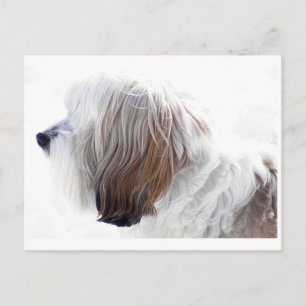 Tibetaanse Terrier Briefkaart