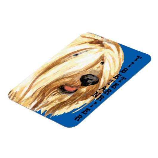 Tibetaanse Terrier Color Block Magneet (Linkerzijde)