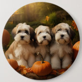 Tibetaanse Terriër Puppy Herfst Delight Pompoen Ronde Button 6,0 Cm (Voorkant)
