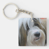 Tibetaanse Terrier Sleutelhanger (voorkant)