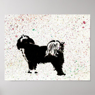 Tibetaanse Terrier - uitzicht Poster
