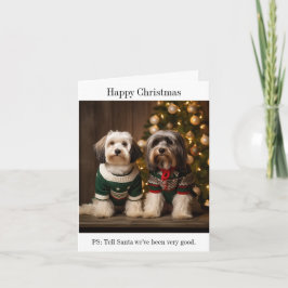 Tibetaanse Terriers Kerst Kaart