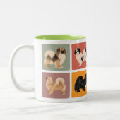Tibétain Spaniel Mug Tibbie Style (Gauche)