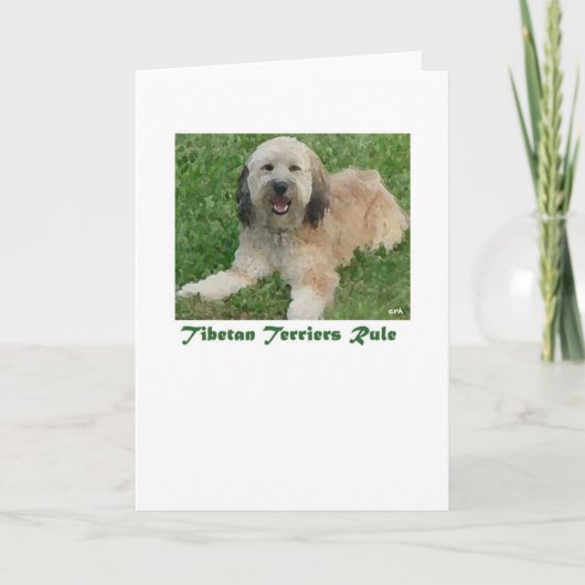 Tibétains Carte de la règle (Devant)