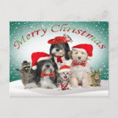 Tibetan Kerstmis van Terrier met Vrienden Feestdagenkaart (Voorkant)