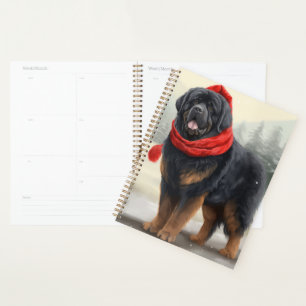 Tibetan Mastiff dans la neige de Noël