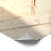 Tibetan Mastiff pup Poster (Hoek)