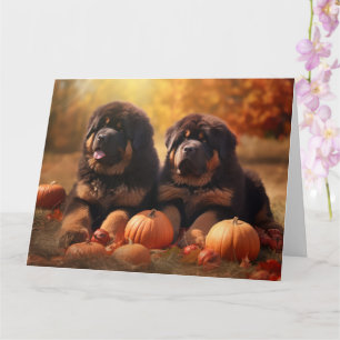 Tibetan Mastiff Puppy Herfst Plezier Pompoen  Kaart