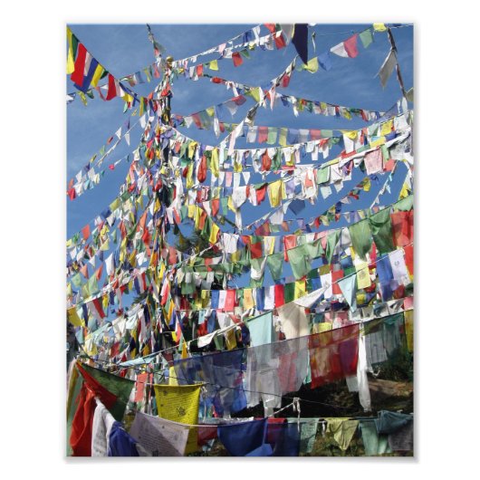 Tibetan Prayer Flags Foto Afdruk (Voorkant)