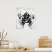 Tibetan Spaniel Dog Potrait Poster (Keuken)