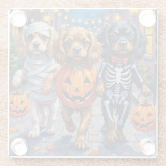 Tibetan Spaniel Dogs In Halloween Costumes Glazen Onderzetter (Achterkant)