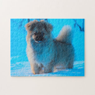 Tibetan Spaniel Dogs Jigsaws Legpuzzel