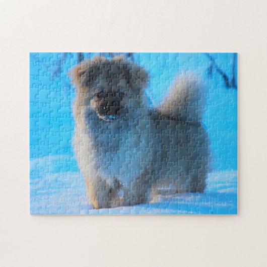 Tibetan Spaniel Dogs Jigsaws Legpuzzel (Horizontaal)