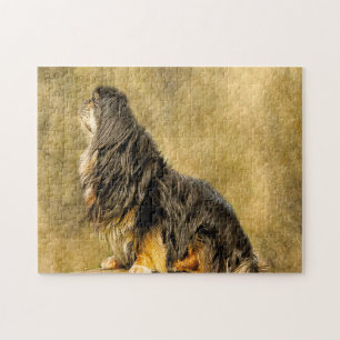 Tibetan Spaniel Honden Puzzels