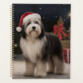 Tibetan Terrier dans la neige à Noël (Devant)