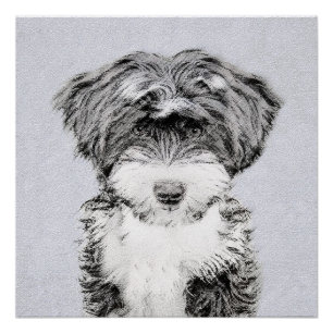 Tibetan Terrier Painting - Cute Original Dog Art Perfect Poster