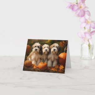 Tibetan Terrier Pup Autumn Delight Pompoen Kaart