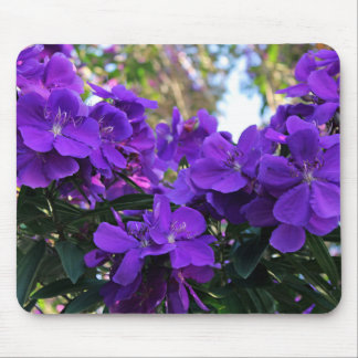 Tibouchina bloemen muismat