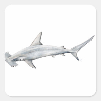 Tiburon martillo - Hamerhaai Vierkante Sticker
