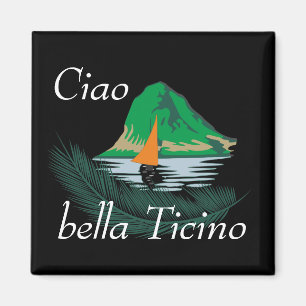 Ticino Svizzera/Tessin Schweiz Magnet Magneet