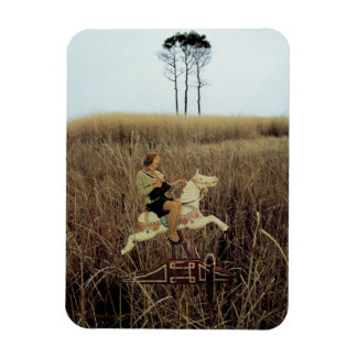 Ticket to ride - magneet