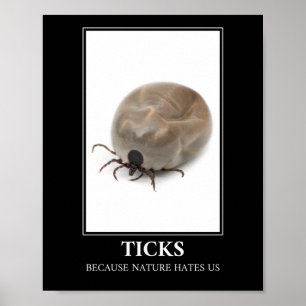 Ticks omdat Natuur ons haat - parasietenvun Poster