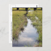 Tidal Creek Briefkaart (Voorkant / Achterkant)