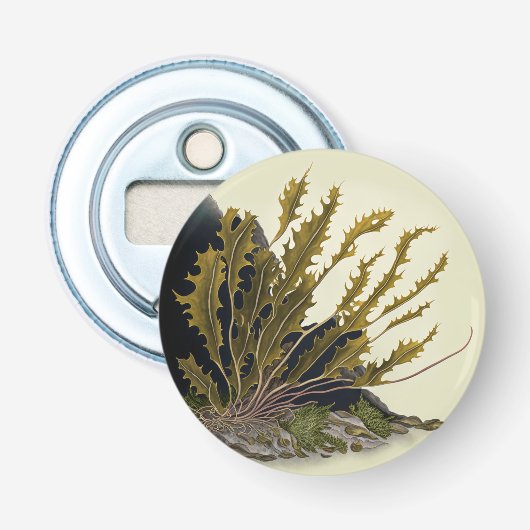 Tidal Fronds Button Flesopener (Voorkant)