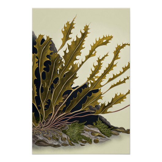 Tidal Fronds Perfect Poster (Voorkant)