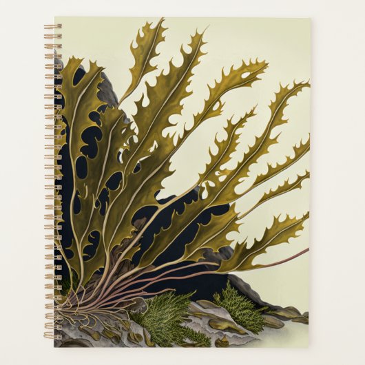 Tidal Fronds Planner (Voorkant)