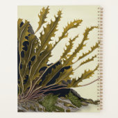 Tidal Fronds Planner (Achterkant)