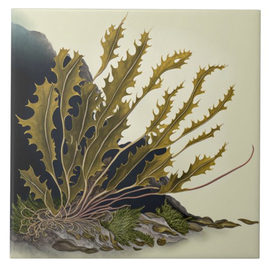 Tidal Fronds Tegeltje (Voorkant)