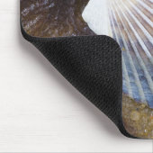 Tidal Pool Muismat (Hoek)