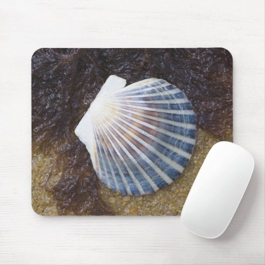 Tidal Pool Muismat (Met muis)