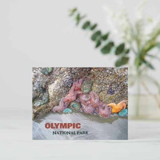 Tidal Pool, Ruby Beach, Nationaal Park van de Olym Briefkaart (Staand voorkant)