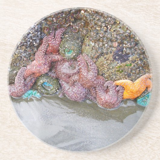 Tidal Pool, Ruby Beach, Nationaal Park van de Olym Zandsteen Onderzetter (Voorkant)