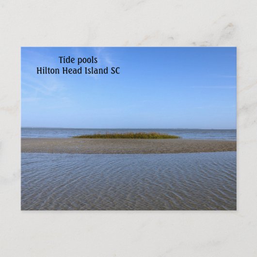 Tide Pools South Carolina Briefkaart (Voorkant)