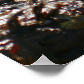 Tidepool at Sand Beach Poster (Hoek)