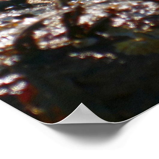 Tidepool at Sand Beach Poster (Hoek)