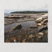 Tidepool in Wonderland in het nationaal park Acadi Briefkaart (Voorkant)