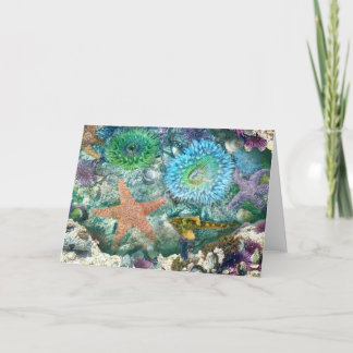 Tidepool Reflections Wenskaart Kaart