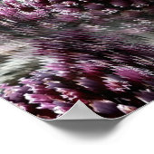 Tidepools.... Poster (Hoek)