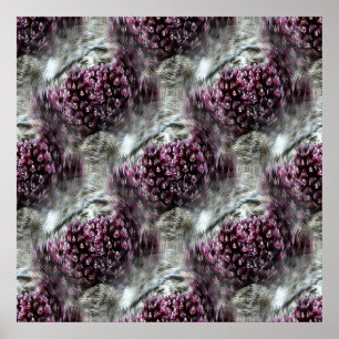Tidepools.... Poster